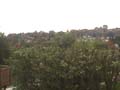 Newhouse13