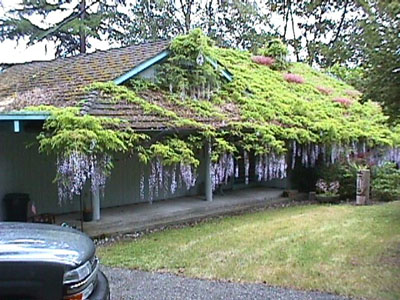 Bellevueestate1