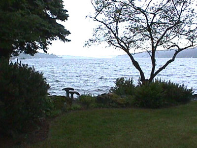 Bellevueestate2
