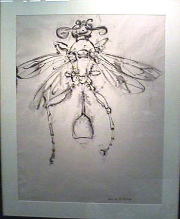 LVC-002F